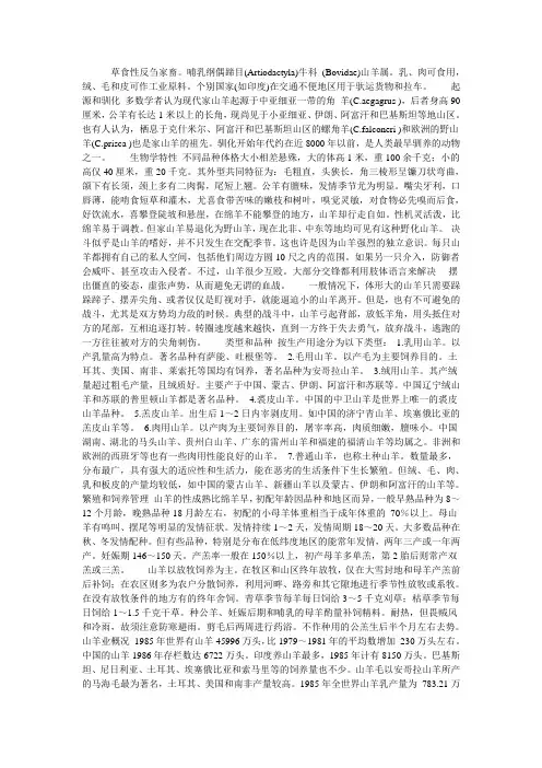 山羊和绵羊