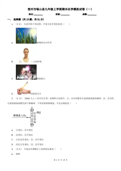 宿州市砀山县九年级上学期期末化学模拟试卷(一)