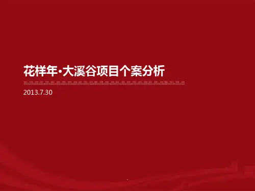 ..花样大溪谷项目个案分析PPT课件