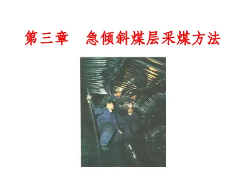 急倾斜煤层采煤方法