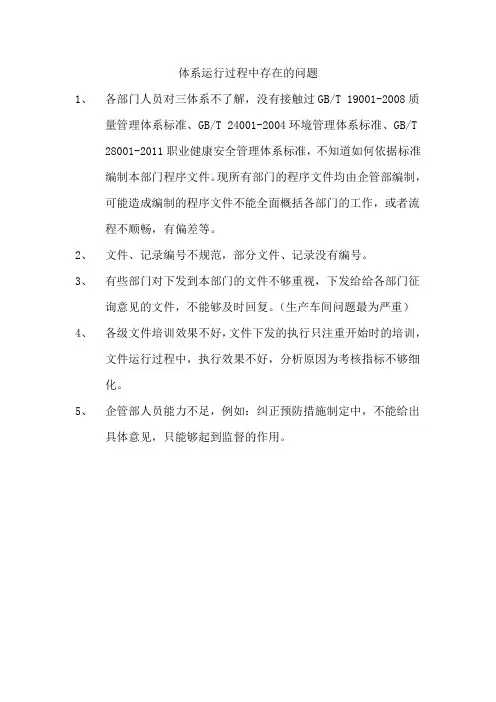 体系运行过程中存在问题