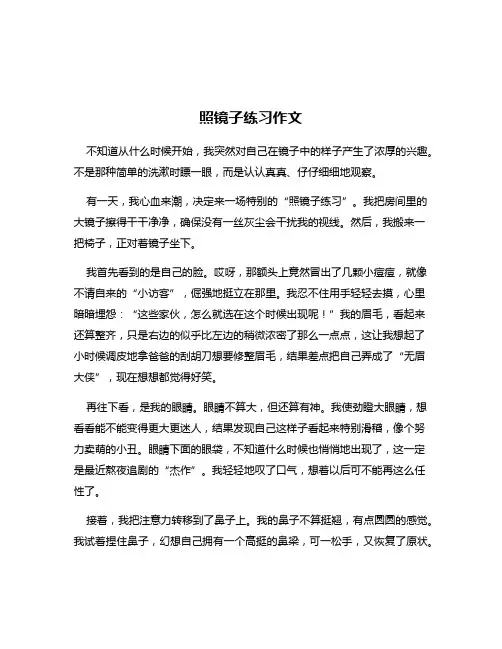 照镜子练习作文