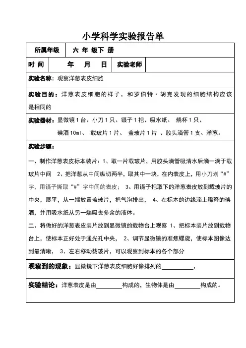 小学科学实验报告单(观察洋葱)