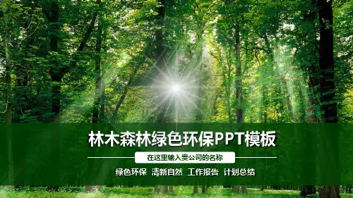 林木森林绿色环保清新自然工作报告计划总结PPT模板