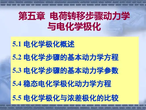 第五章电荷转移步骤动力学与电化学极化