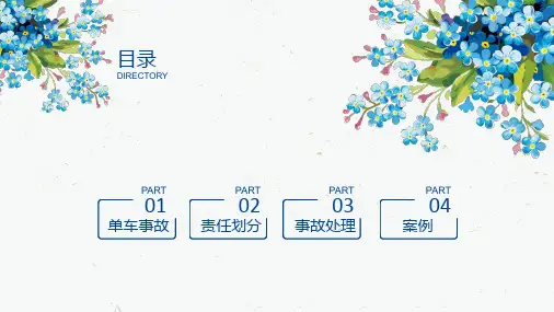 交通事故实务讲座课件