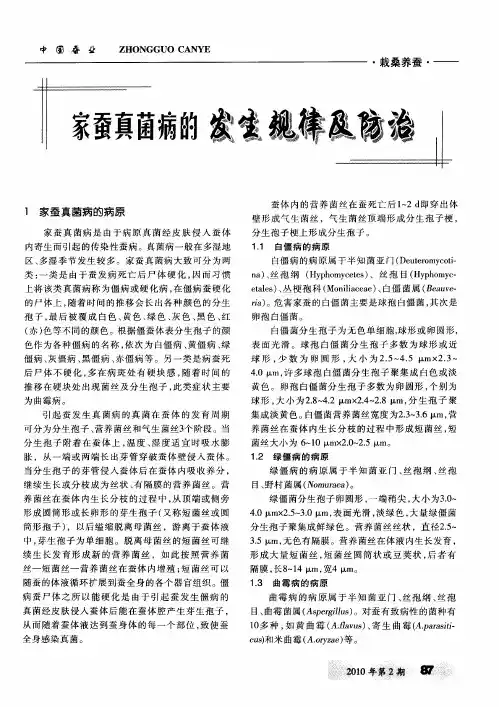 家蚕真菌病的发生规律及防治