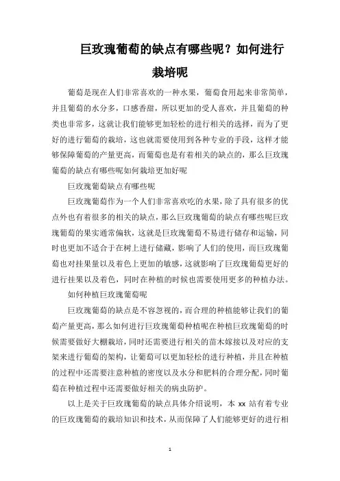 巨玫瑰葡萄的缺点有哪些呢？如何进行栽培呢