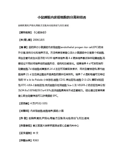 小鼠脾脏内皮祖细胞的分离和培养