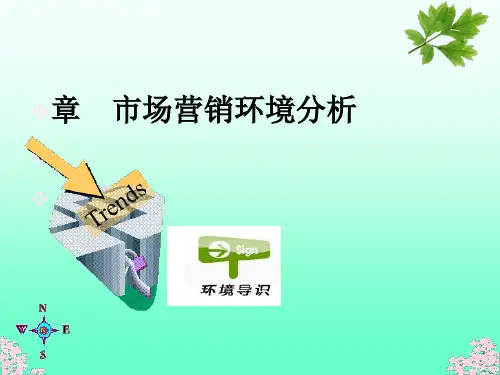 市场营销环境分析(ppt46张)