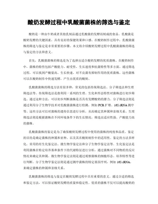 酸奶发酵过程中乳酸菌菌株的筛选与鉴定