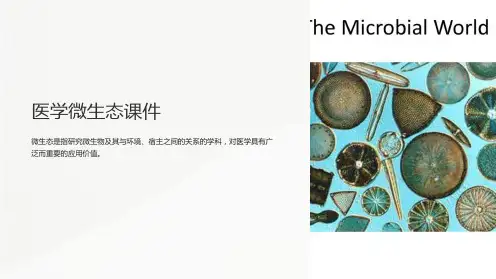 《医学微生态课件》