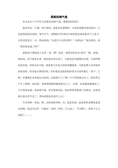 我家的淘气鬼_小学作文
