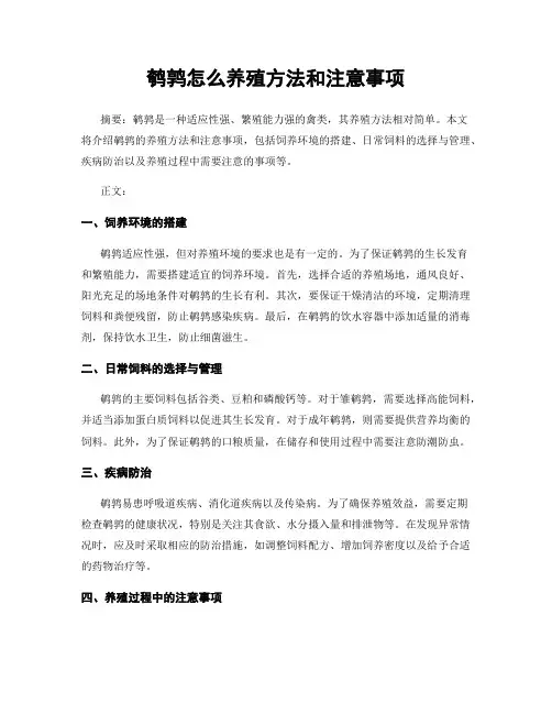 鹌鹑怎么养殖方法和注意事项