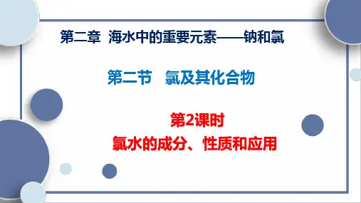 氯水的成分、性质和应用课件-高一化学人教版(2019)必修第一册 
