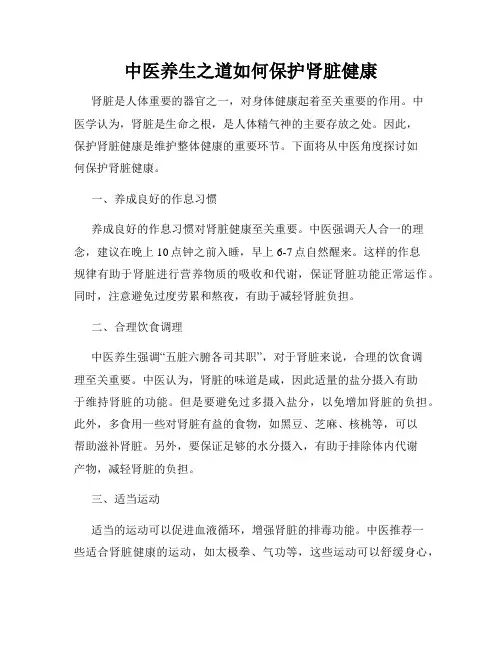 中医养生之道如何保护肾脏健康