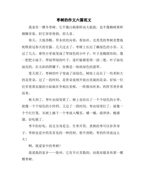枣树的作文六篇范文
