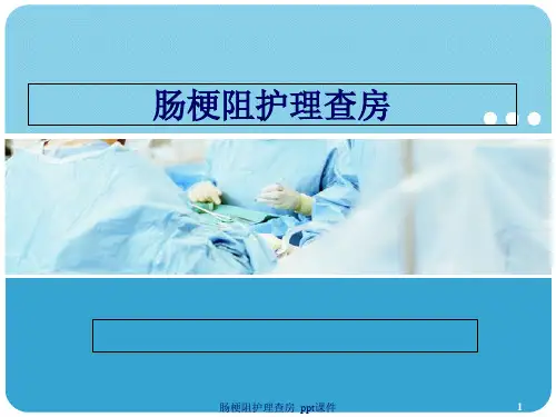 肠梗阻护理查房 ppt课件