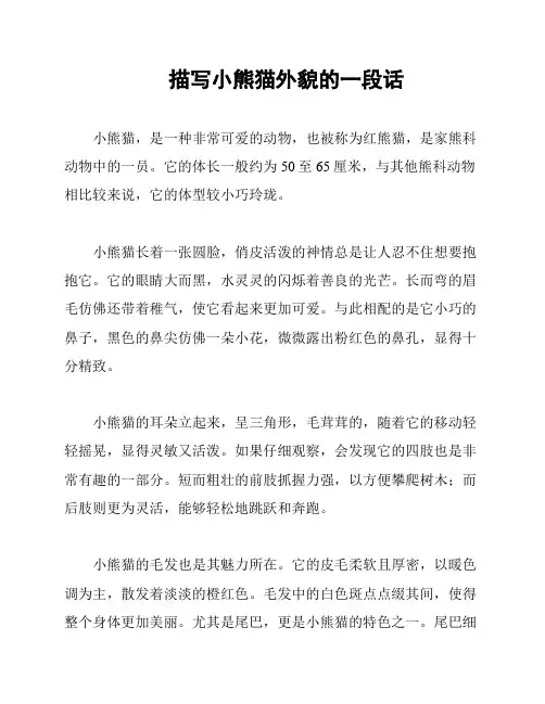 描写小熊猫外貌的一段话