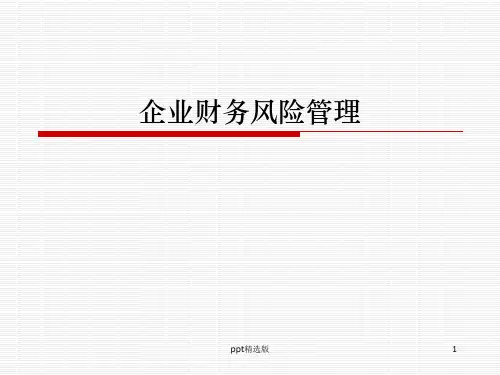 企业财务风险管理精ppt课件