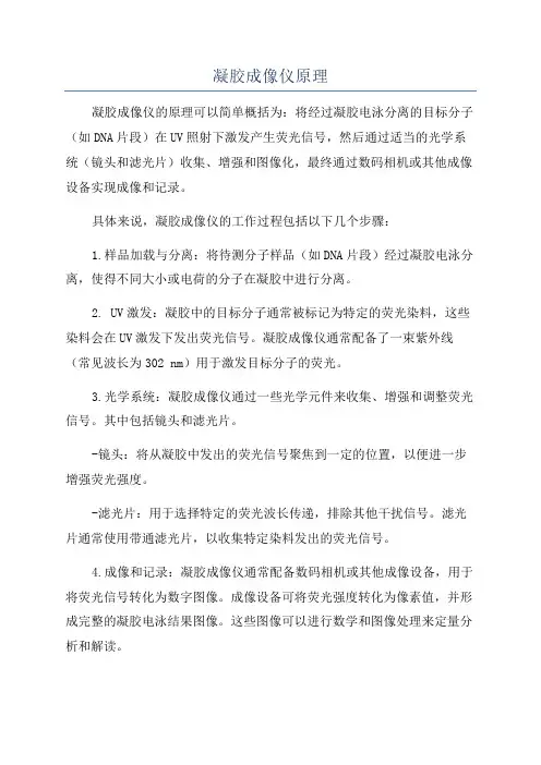 凝胶成像仪原理
