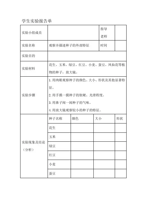 教科版科学四年级下册实验报告单(表格版本)