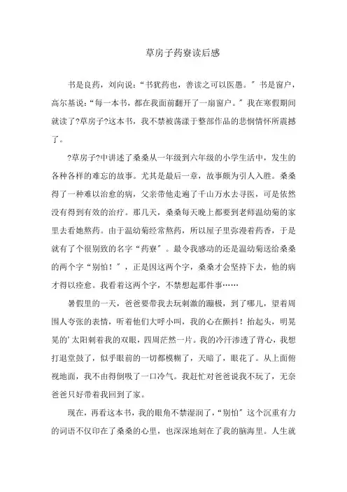 草房子药寮读后感精选