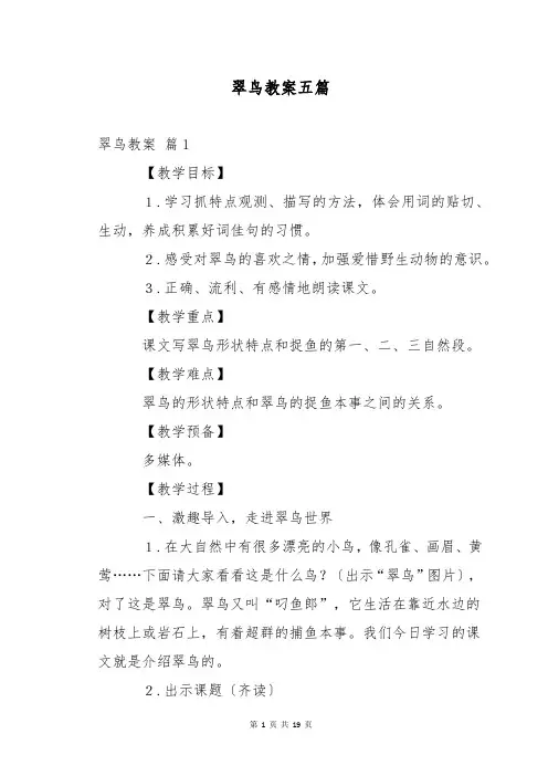 翠鸟教案五篇