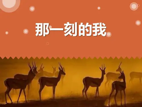 新人教版四年级美术下册《那一刻的我》教学课件