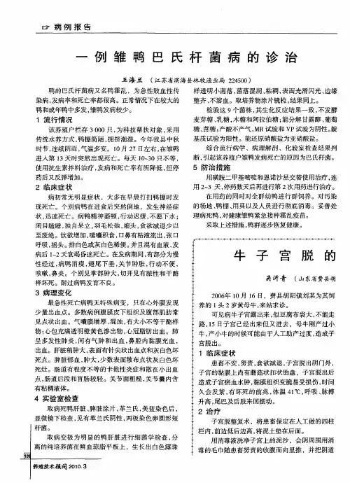 一例雏鸭巴氏杆菌病的诊治