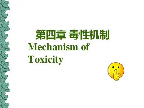 培训_第四章毒性机制
