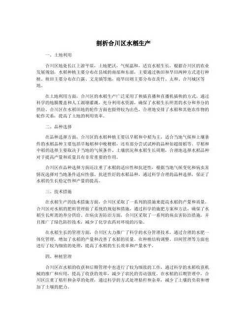 剖析合川区水稻生产