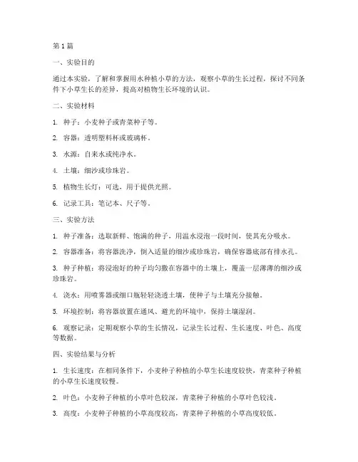 用水种植小草实验报告(3篇)