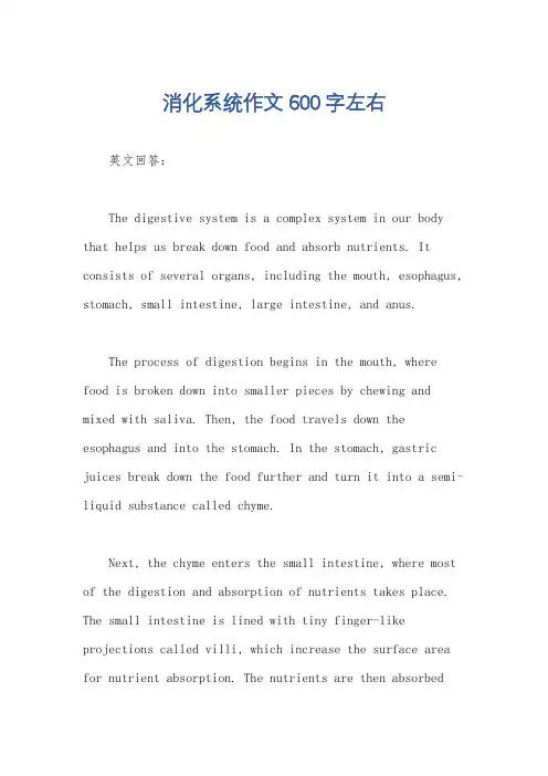 消化系统作文600字左右