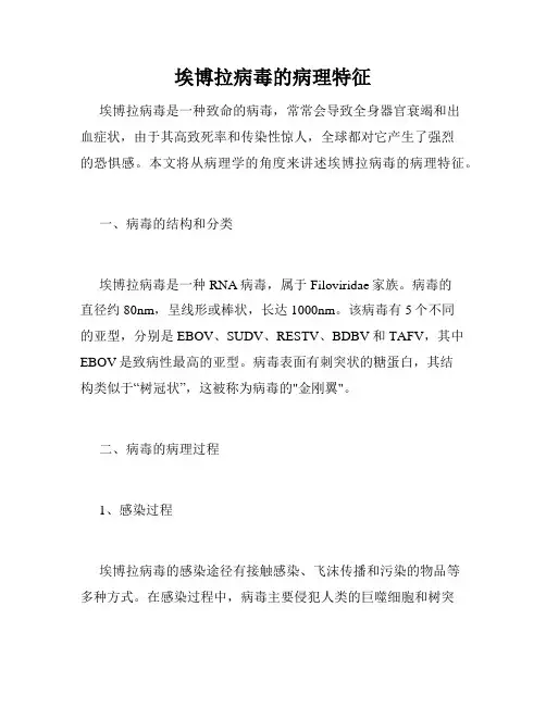 埃博拉病毒的病理特征