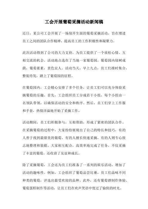 工会开展葡萄采摘活动新闻稿
