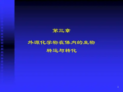 外源化学物在体内的生物转运与转化