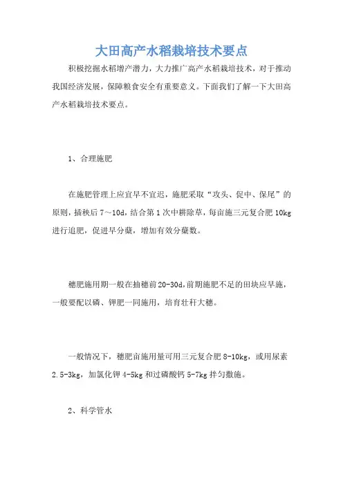 大田高产水稻栽培技术要点