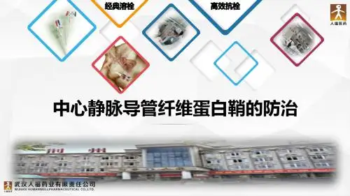 中心静脉导管纤维蛋白鞘的防治2019版