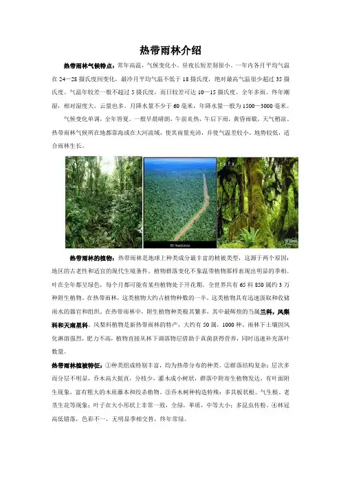 花卉栽培学教案25热带雨林介绍