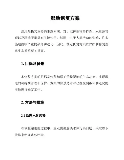 湿地恢复方案