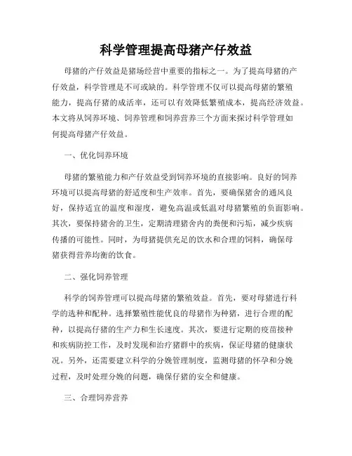 科学管理提高母猪产仔效益