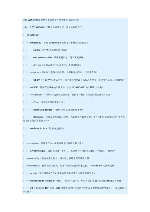 详解WINDOWS文件夹里哪些文件与文件夹可以删除掉