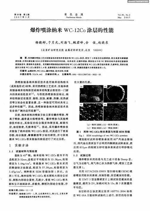 爆炸喷涂纳米WC-12Co涂层的性能