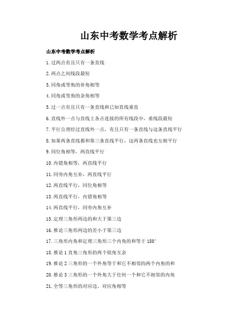 山东中考数学考点解析