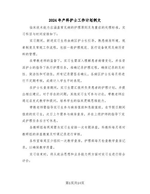 2024年产科护士工作计划例文（六篇）