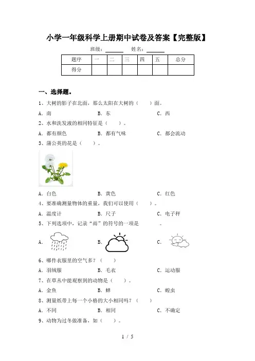 小学一年级科学上册期中试卷及答案【完整版】