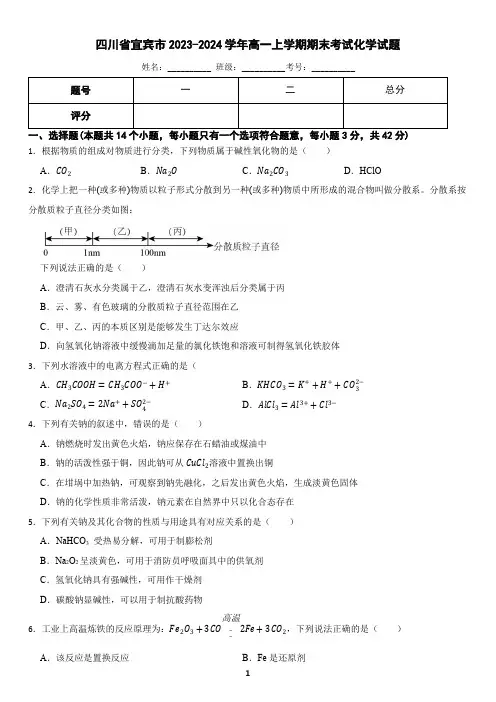 四川省宜宾市2023-2024学年高一上学期期末考试化学试题(含答案)