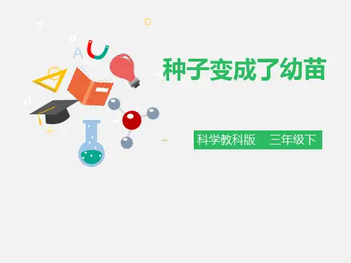 《种子变成了幼苗》植物的生长变化(ppt)课件