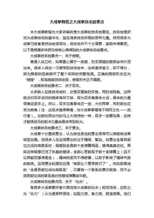 大成拳教程之大成拳技击桩要点